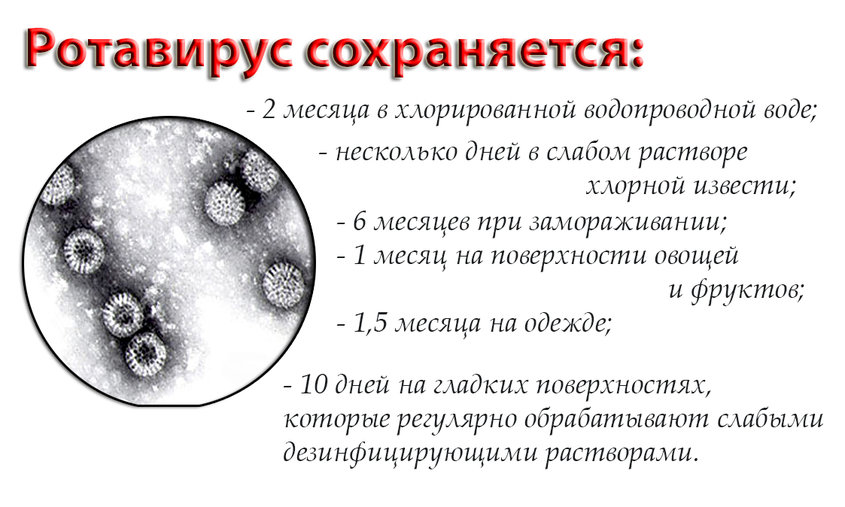Ротавирус в волге